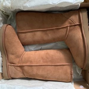 NEW IN BOX UGG BOOKS SIZE 6